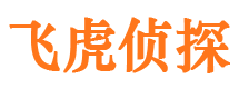 申扎市婚姻调查